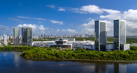 Floresta urbana – Grupo JCPM